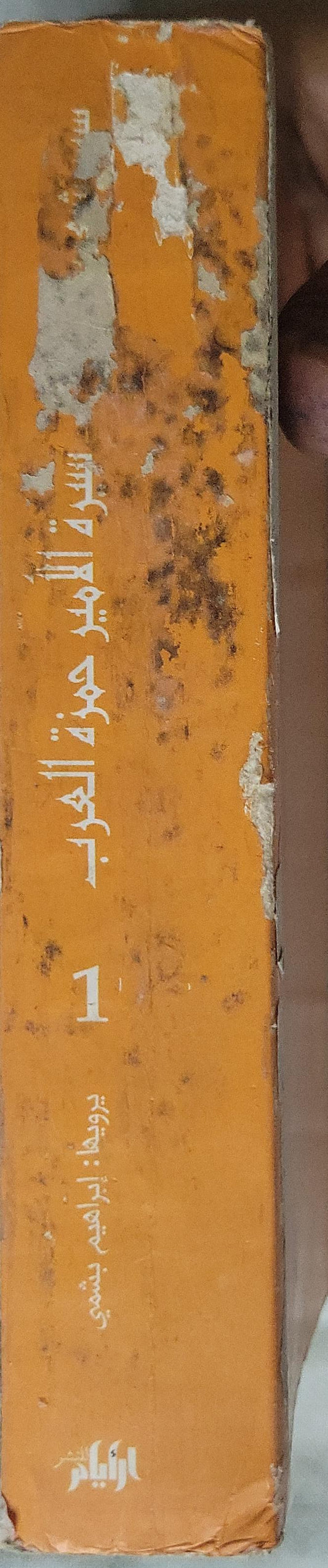 سيرة الأمير حمزة العرب: وما جرى له من حكايات عجيبة وأحداث غريبة - الجزء الأول - إبراهيم بشمي