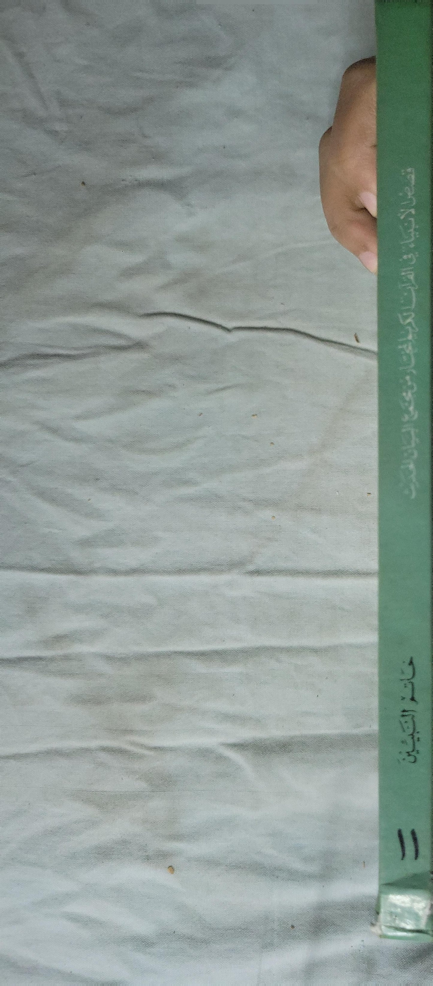 قصص الأنبياء في القرآن الكريم – المجلد الحادي عشر: الحصار في شعاب مكة؛ محمد (ص) وأهل النصرة؛ بيعة العقبة الثانية؛ الدعوة في المدينة؛ الهجرة إلى يثرب - سمير عاطف الزين