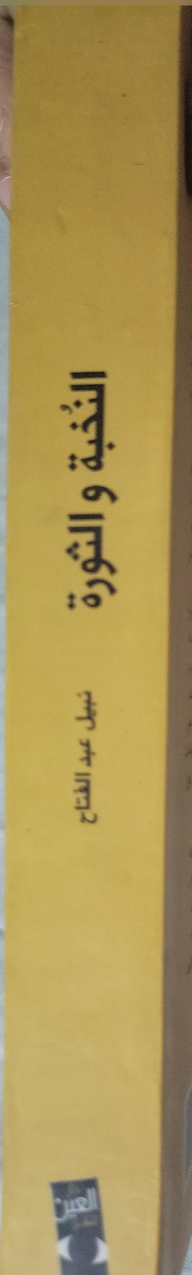 Untitled Book 576: الدولة والإسلام السياسي والقومية والليبرالية - نبيل عبد الفتاح