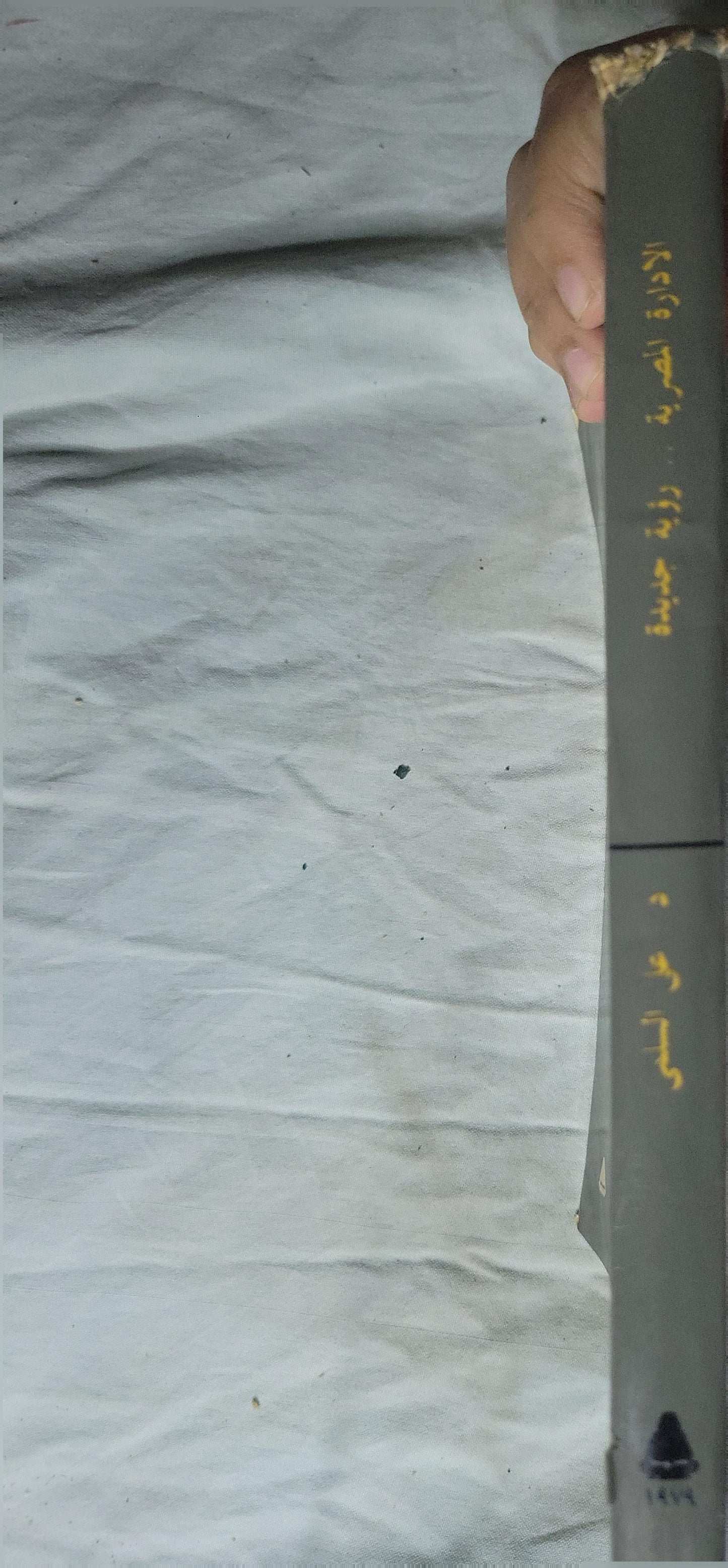 الإدارة المصرية: رؤية جديدة (1994): رؤية جديدة - علي السلمي