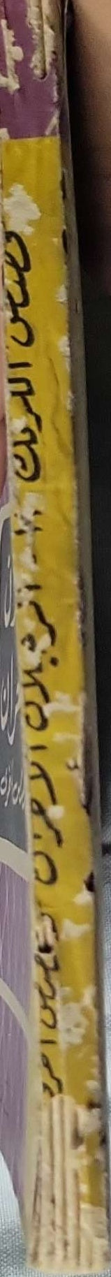 الرجلان الآخران وقصص أخرى
