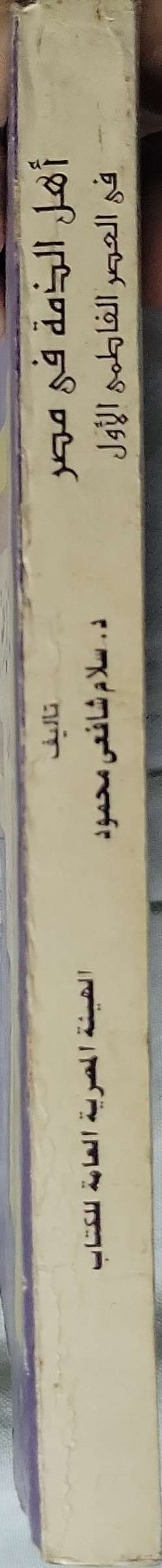 أهل الذمة في مصر في العصر الفاطمي الأول - د. سلام شافعي محمود