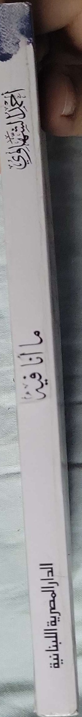 ما أنا فيه - أحمد الشهاوي