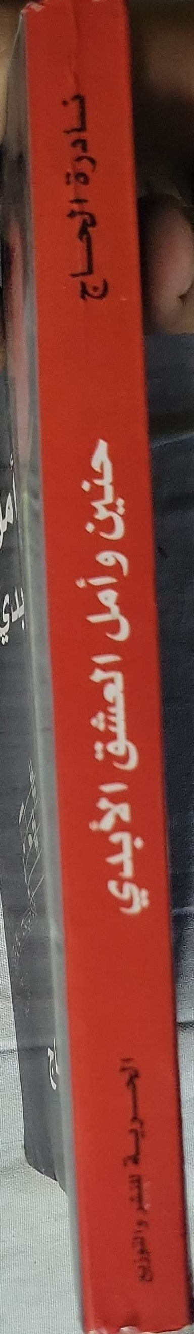 حنين وأمل: العشق الأبدي: رواية - أ. نادرة الحاج
