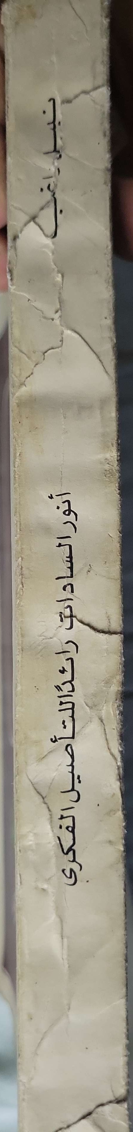 أنور السادات: رائداً للتأصيل الفكري - فايز راغب