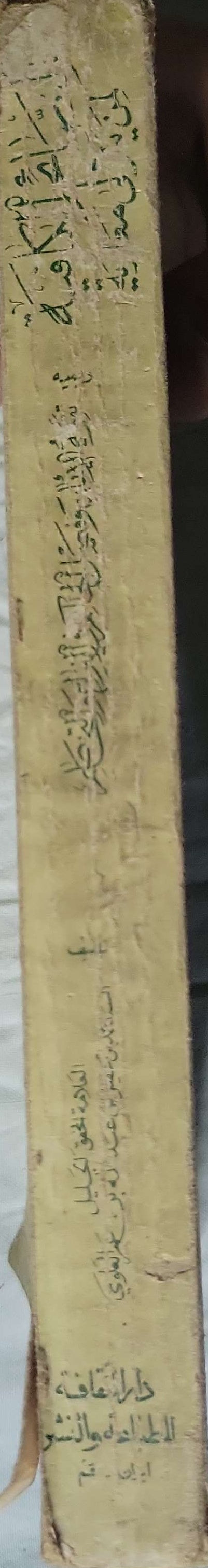 النصائح الكافية لمن يتولى معاوية - السيد محمد بن عقيل بن عبد الله بن عمر العلوي