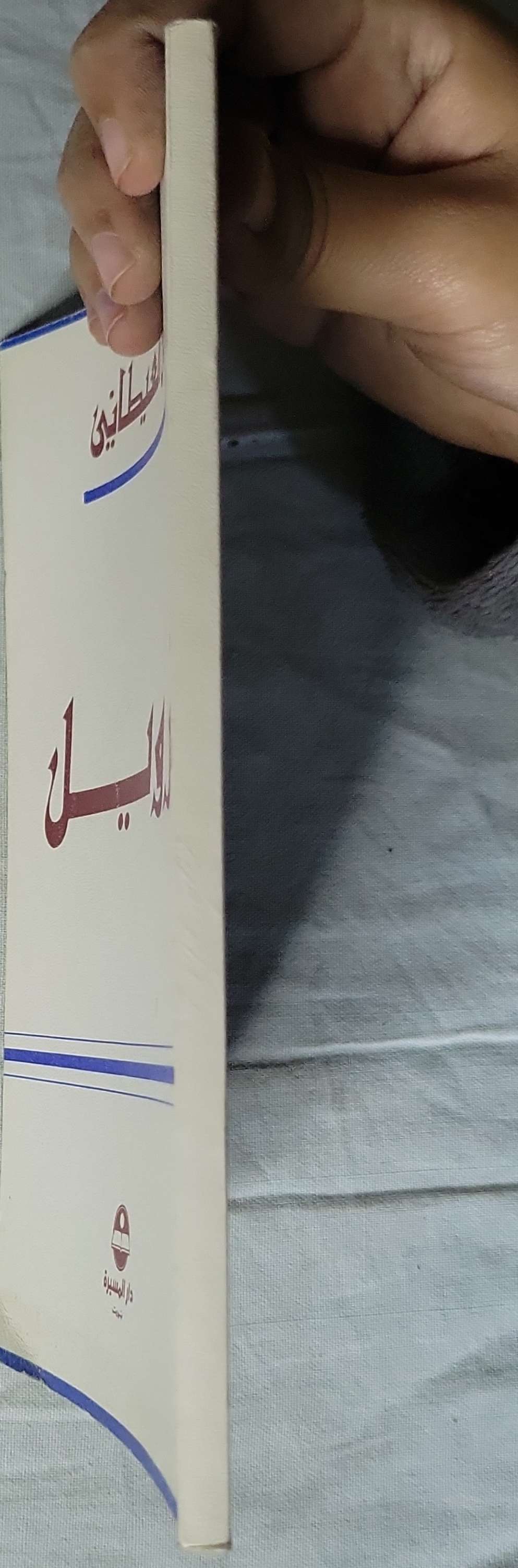 الزويل - جمال الغيطاني