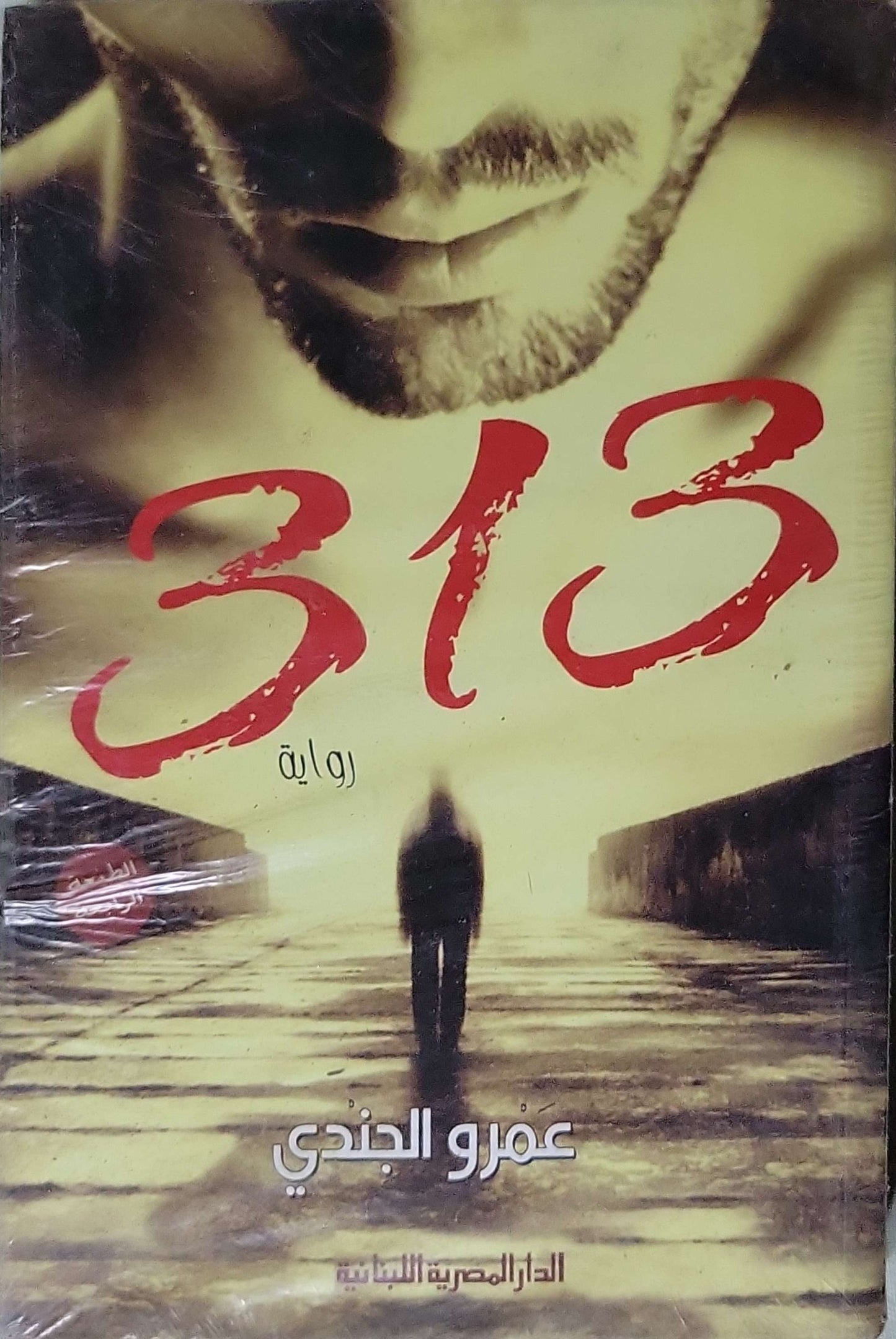 313: رواية - عمرو الجندي