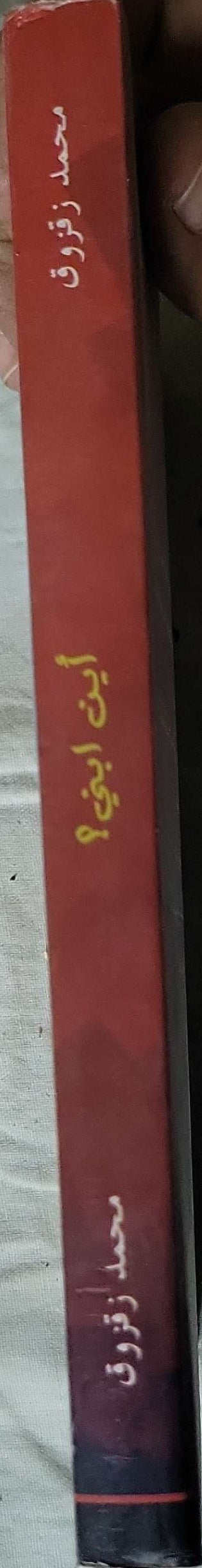 أين ابني؟: رواية - محمد زفزوق