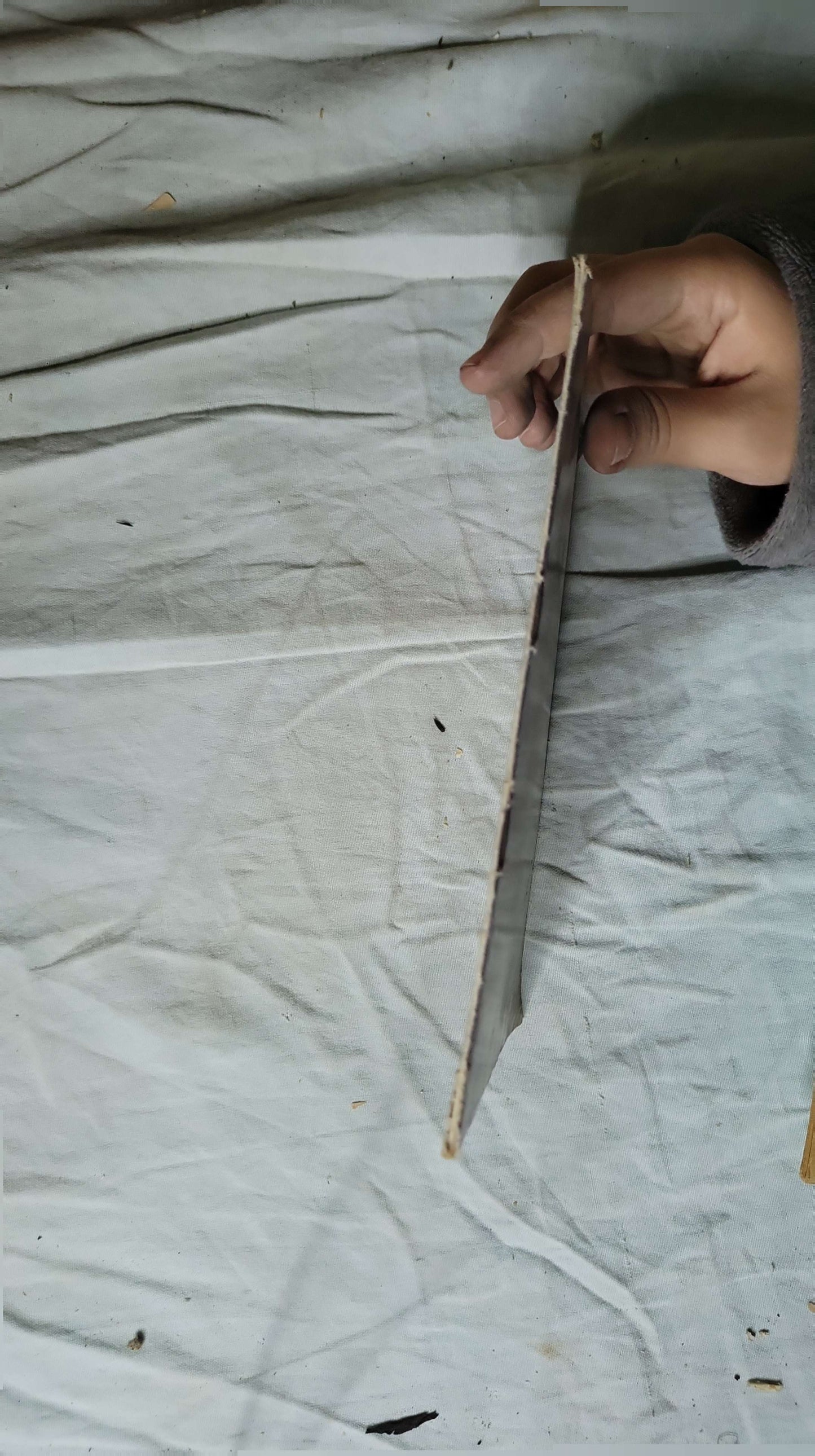 القط والشيطان (2000) - جيمس جويس - عبد التواب يوسف