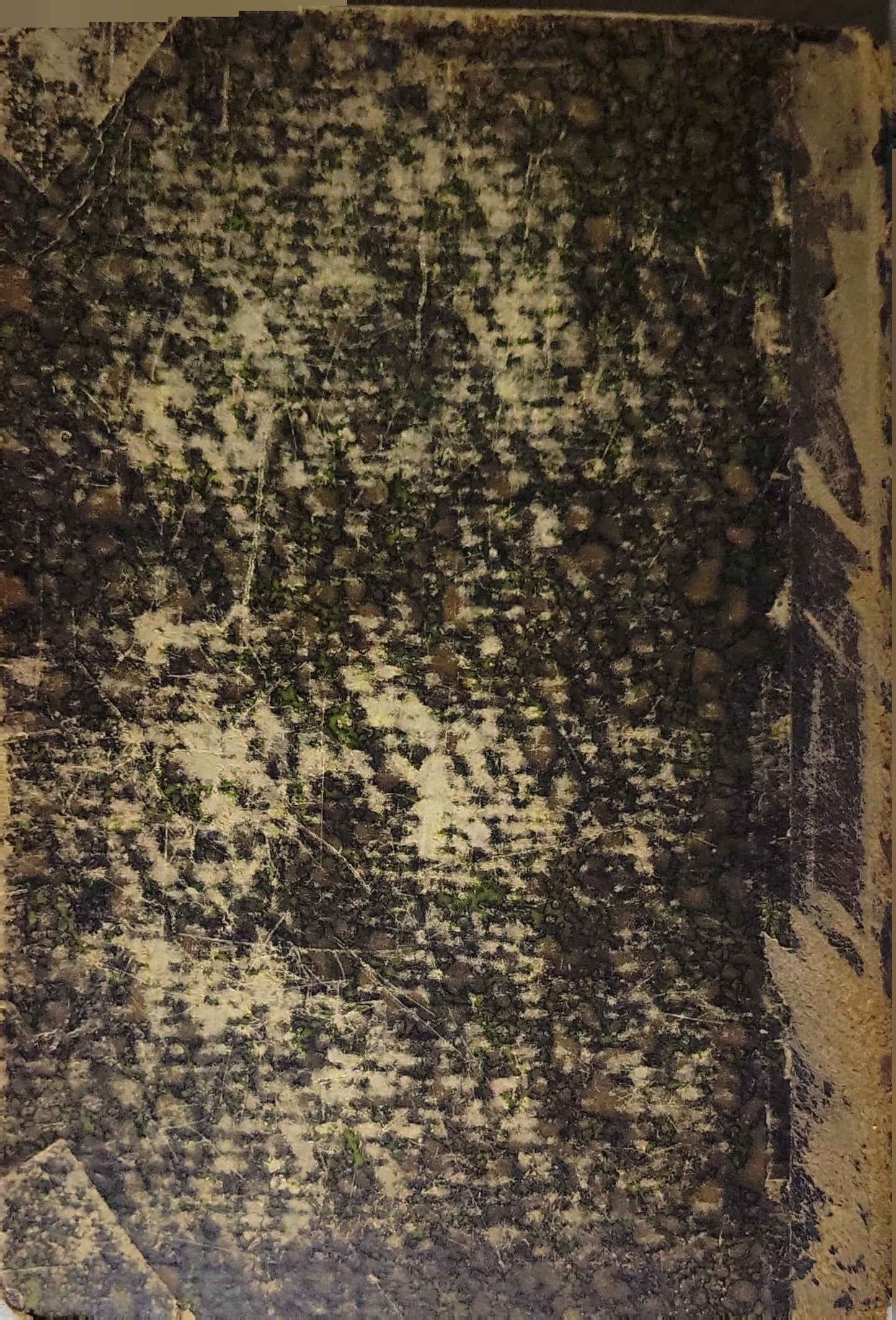 Εγχειρίδιον Γαλλικής Γραμματικής (1865) — Manual of French Grammar: Συνταχθὲν μὲν ὑπὸ Γ. Ν. Οικονομίδου · Ἐκδοθὲν δὲ ἐπιμέλεια καὶ δαπάνη τῶν καταστημάτων τῶν τέκνων Ἀνδρέου Κορομηλά By Γ. Ν. Οικονομίδου