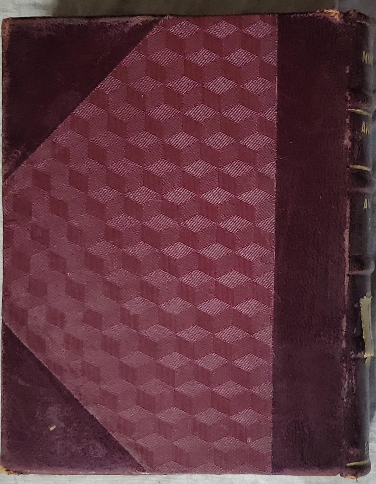 Ανθρωπινες και ανθινες ζωες: Βιβλίο πρώτο (1920): Βιβλίο πρώτο By Νίκος Νικολαΐδης