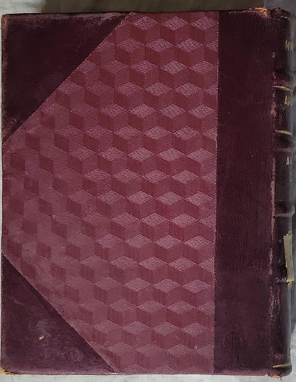 Ανθρωπινες και ανθινες ζωες: Βιβλίο πρώτο (1920): Βιβλίο πρώτο By Νίκος Νικολαΐδης