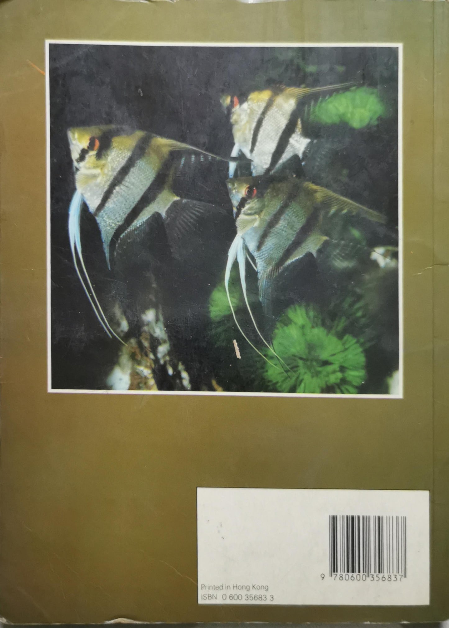 A guide to freshwater aquarium fishes By George F Hervey and Jack Hems