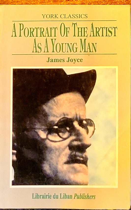 A Portrait Of The Artist As A Young Man