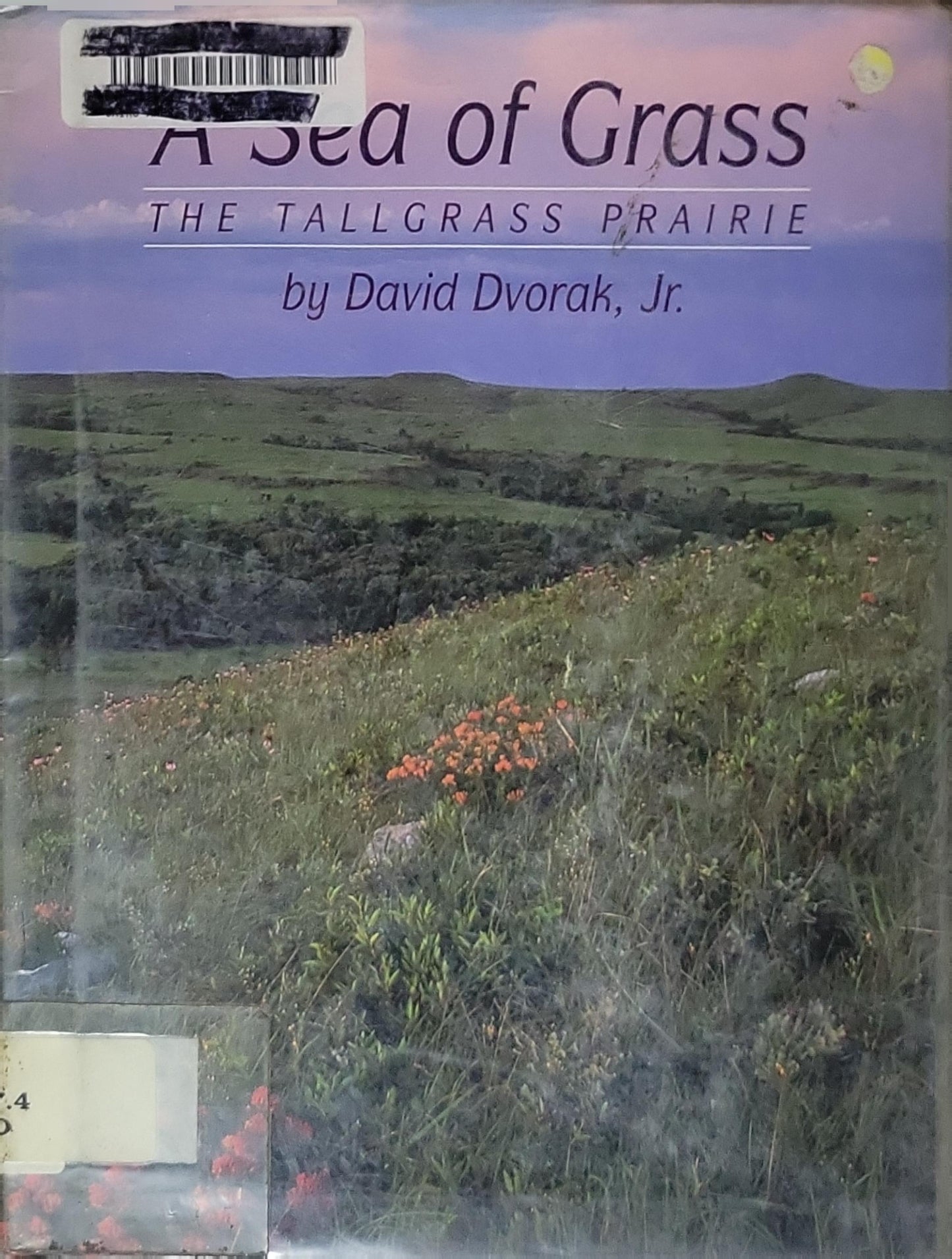 A Sea of Grass: The Tall Grass Prairie By David Dvorak, Jr.
