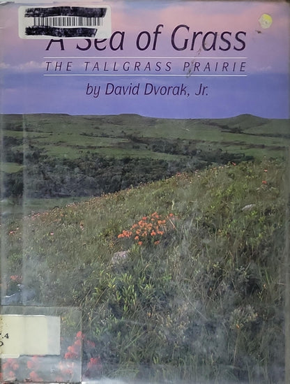 A Sea of Grass: The Tall Grass Prairie By David Dvorak, Jr.