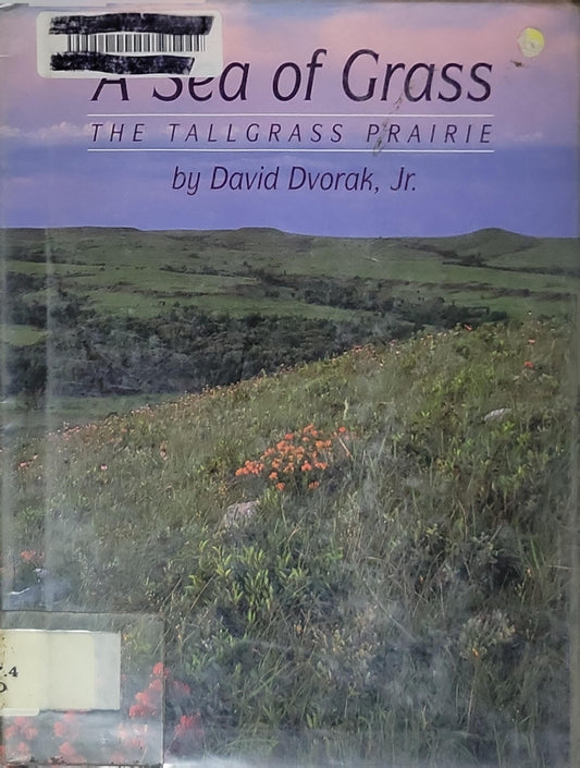 A Sea of Grass: The Tall Grass Prairie By David Dvorak, Jr.