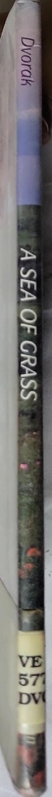 A Sea of Grass: The Tall Grass Prairie By David Dvorak, Jr.