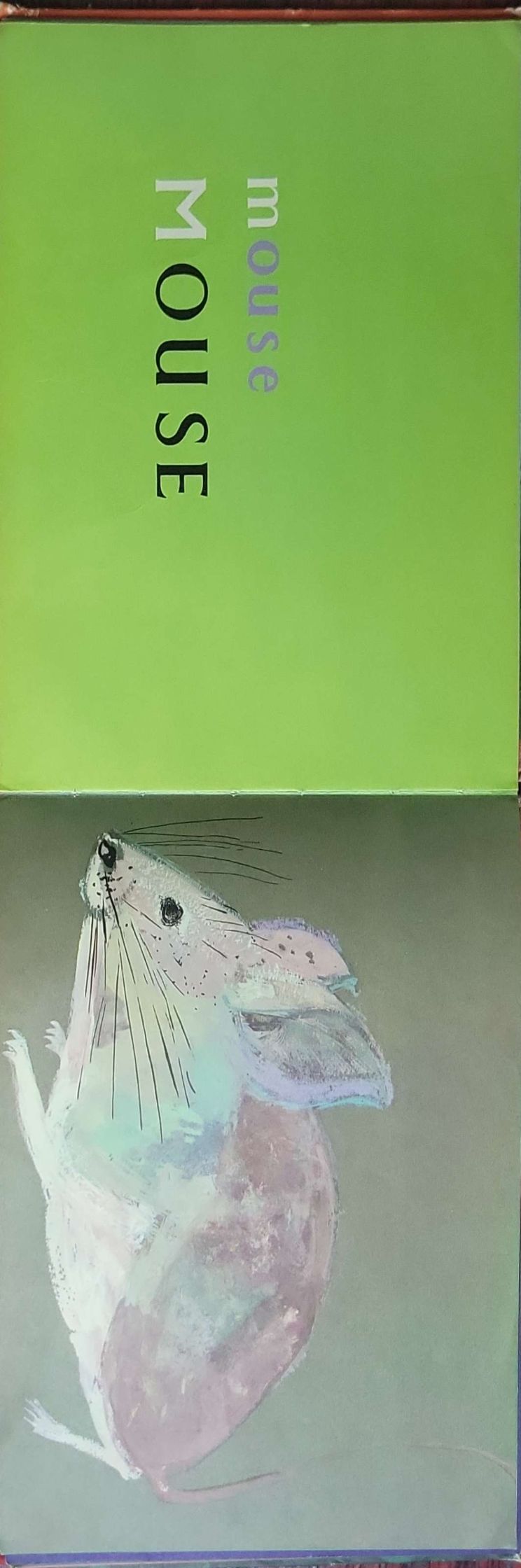 ABC: [First edition]