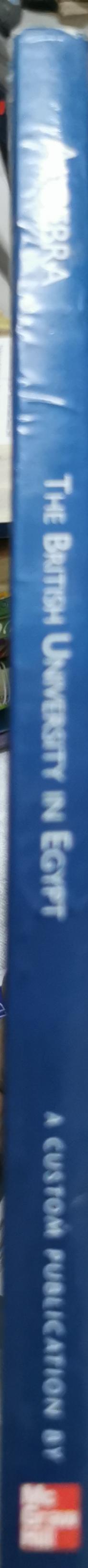 Algebra: Professor Dr. Khaled Salem, The British University in Egypt By Professor Dr. Khaled Salem