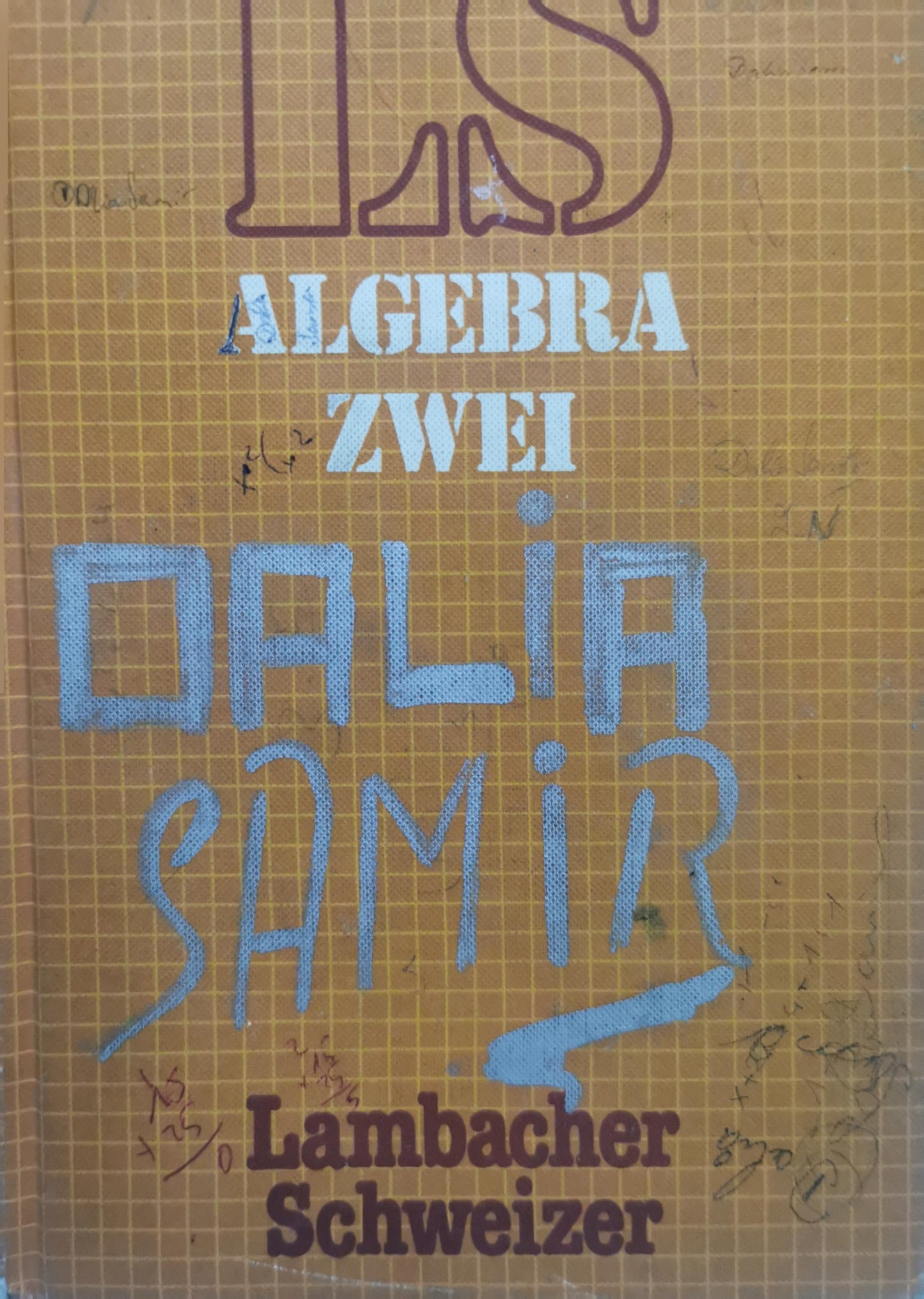 Algebra Zwei: Ls Mathematik By August Schmid and Wilhelm Schweizer and Michael Bürker and Günther Döfer and Wolf-Günter Felmy and Wolfgang Hammernik and Ulrich Hannig and Dieter Koller and Ulrich Warnecke
