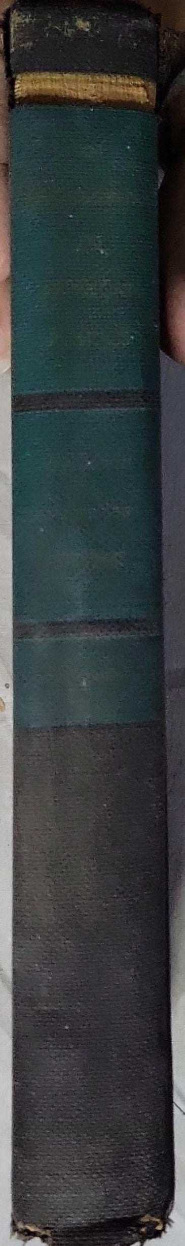 American Politics By Edwin Valentine Mitchell