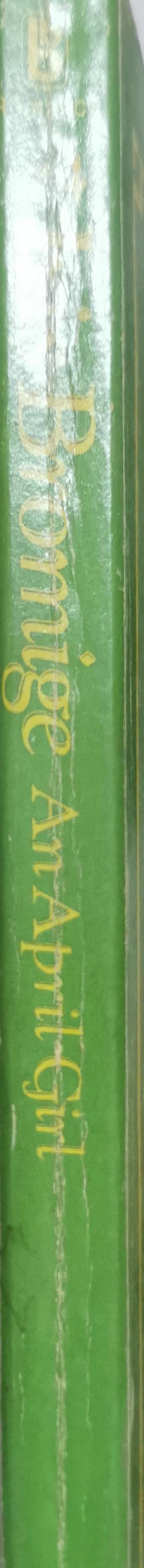 An April Girl By Iris Bromige