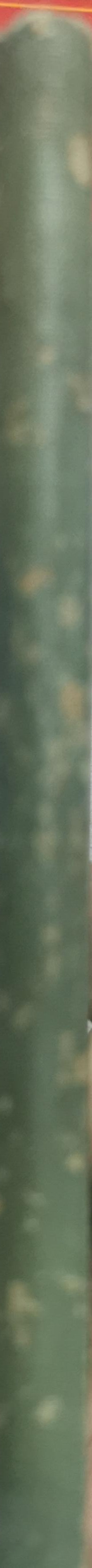 An Introduction to Psychology: For the Use of Teachers By J. H. Wimms, M.A., B.Sc.