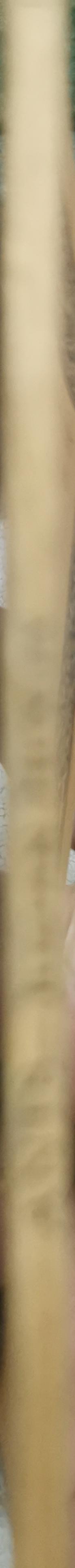 Ants By Julian Huxley