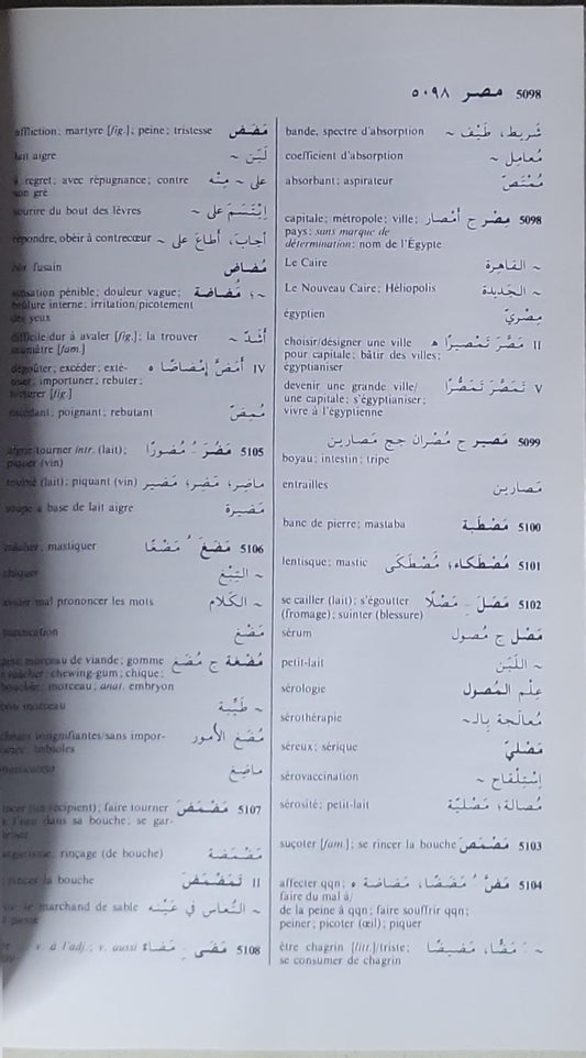 Arabe: Dictionnaire