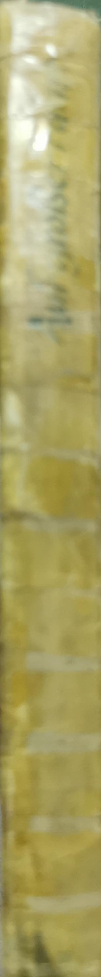 Auf großer Fahrt: Ins Heimatland