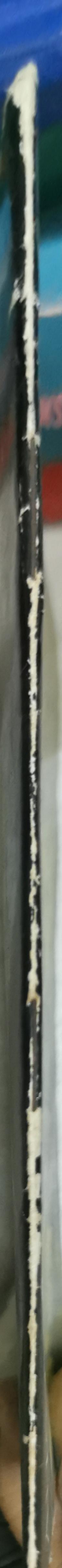 Aus dem Deutschen Gesell(e)n?