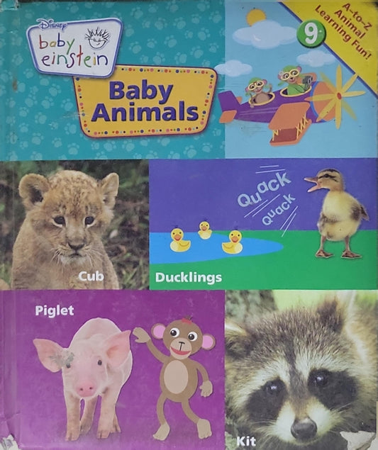 Baby Animals