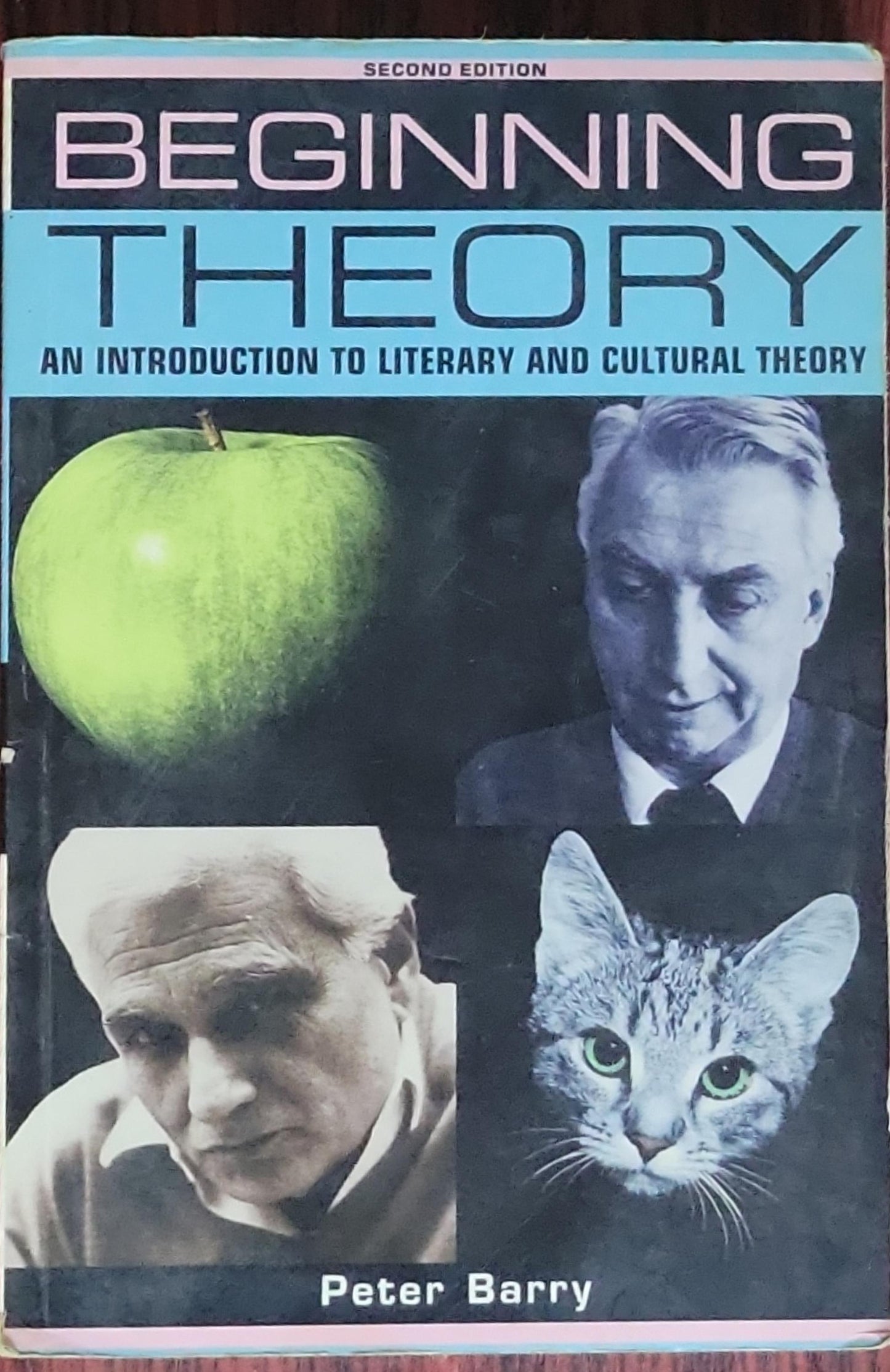 Beginning Theory: An Introduction to Literary and Cultural Theory