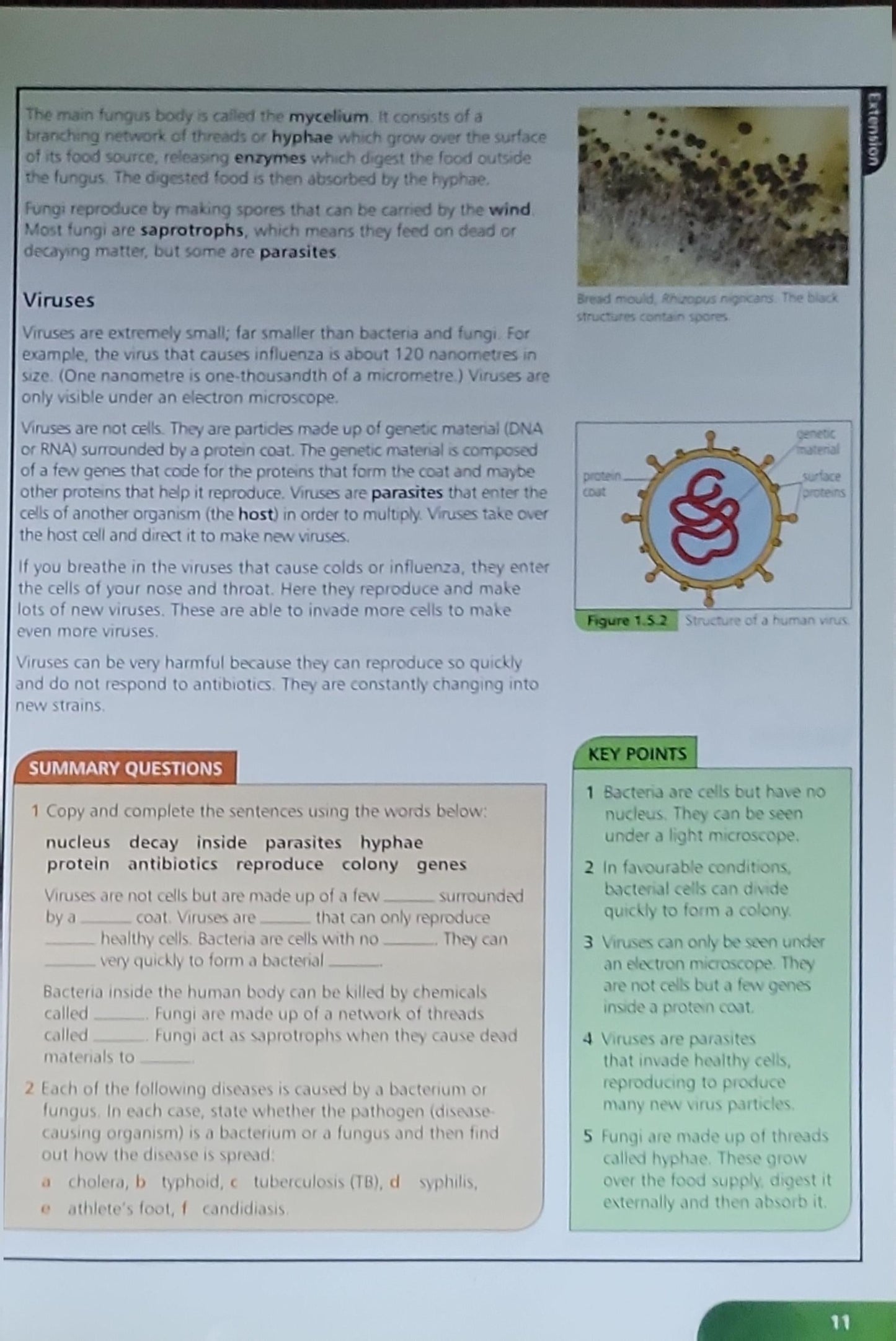 Biology for IGCSE
