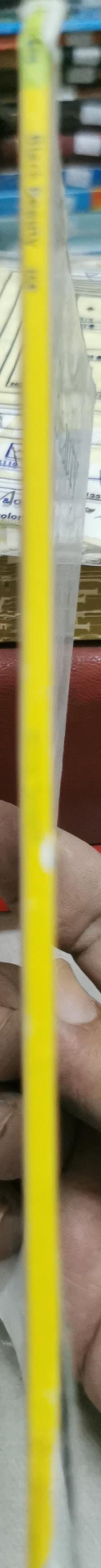 Black Beauty By Anna Sewell