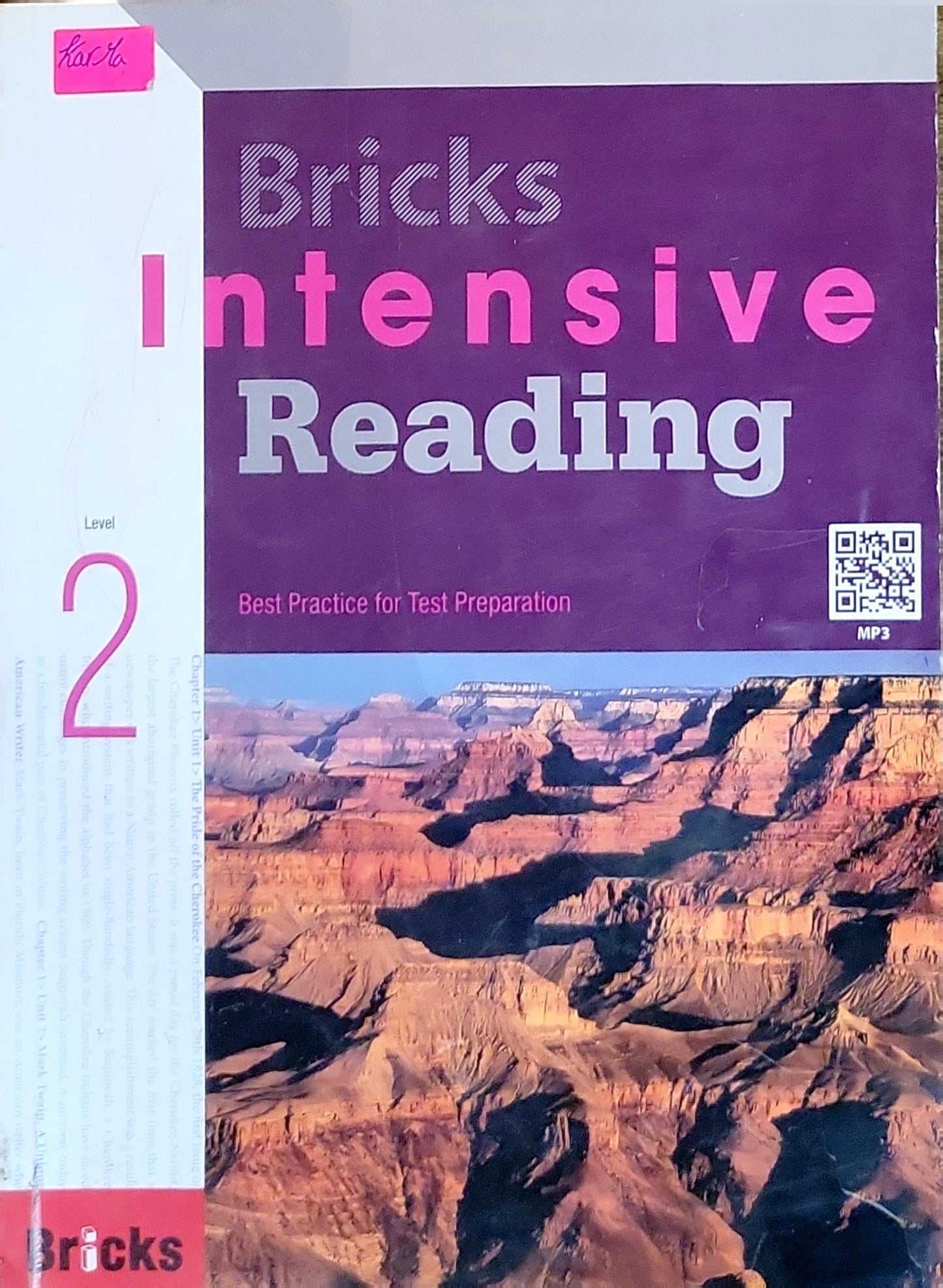 Bricks Intensive Reading: Best Practice for Test Preparation