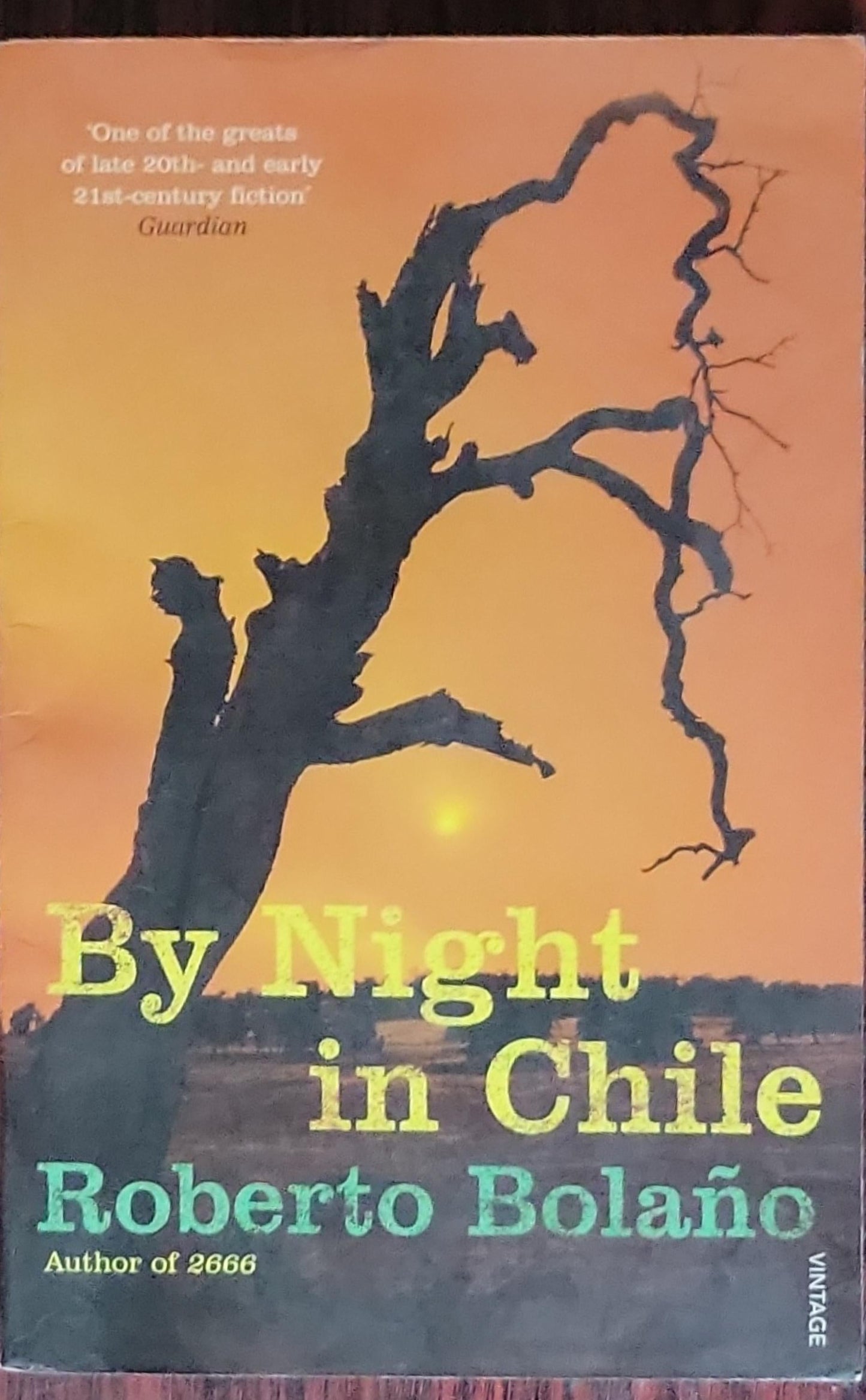 By Night in Chile
