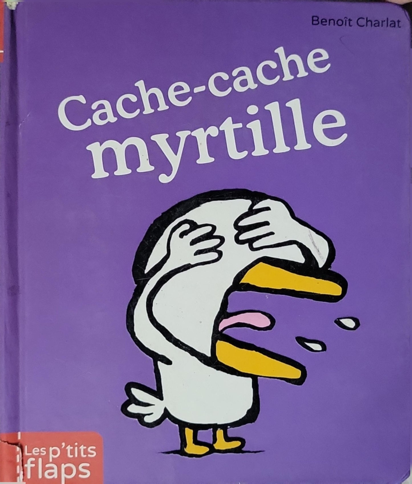 Cache-cache myrtille By Benoît Charlat