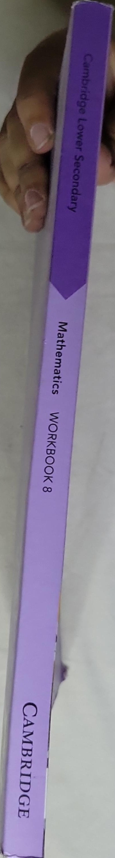 Cambridge Lower Secondary Mathematics Workbook 8