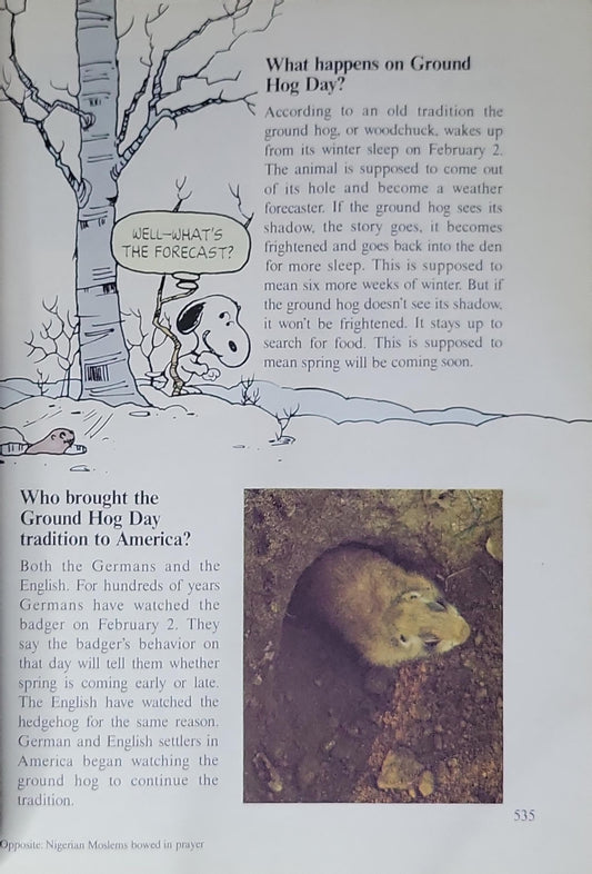Charlie Brown's Cyclopedia: Volume 12: Featuring Holidays