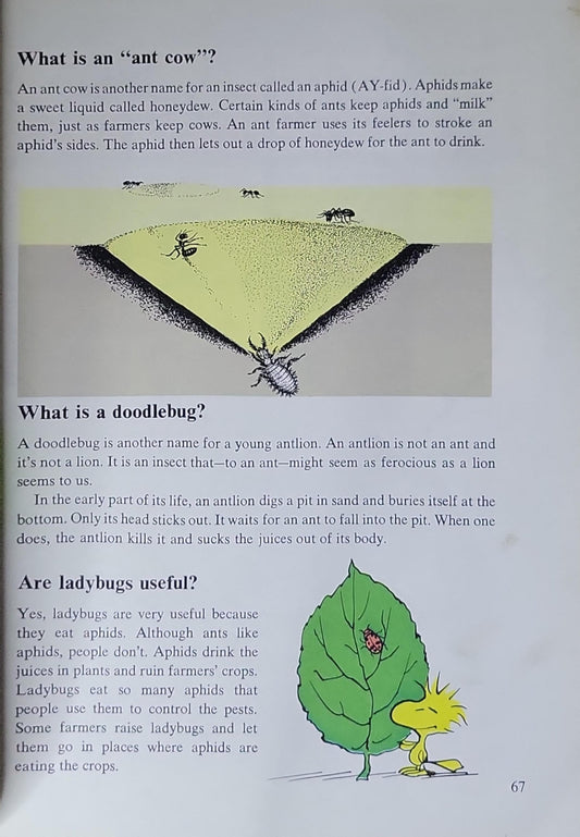 Charlie Brown's Cyclopedia: Volume 2: Super Questions and Answers and Amazing Facts