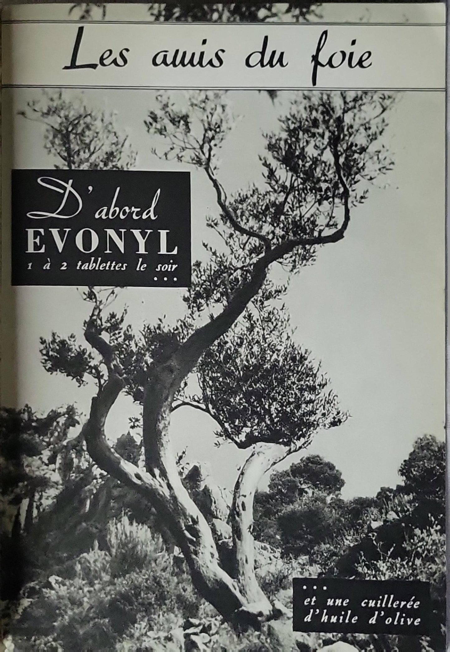 Ciels et Sourires de France: Avril 1939 By G. L. Arlaud