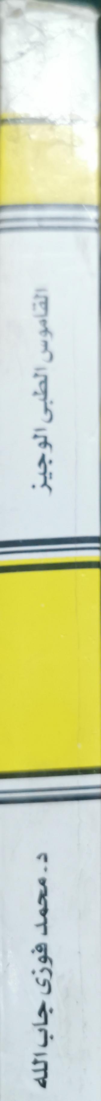 Concise Medical Dictionary: English - Arabic By Prof. M. Fawzi Gaballah