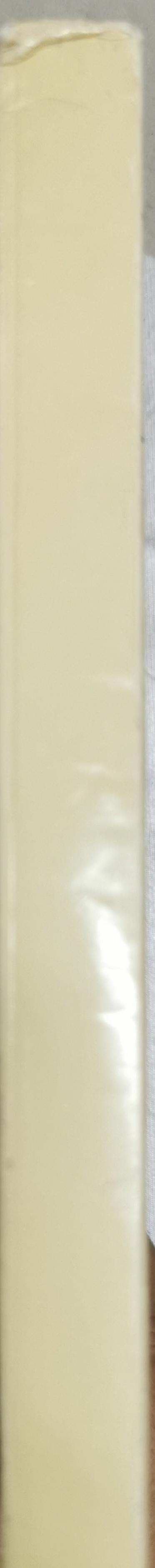 Contributi editoriali italiani alla ricerca archeologica. 1980-1987: Mostra del libro