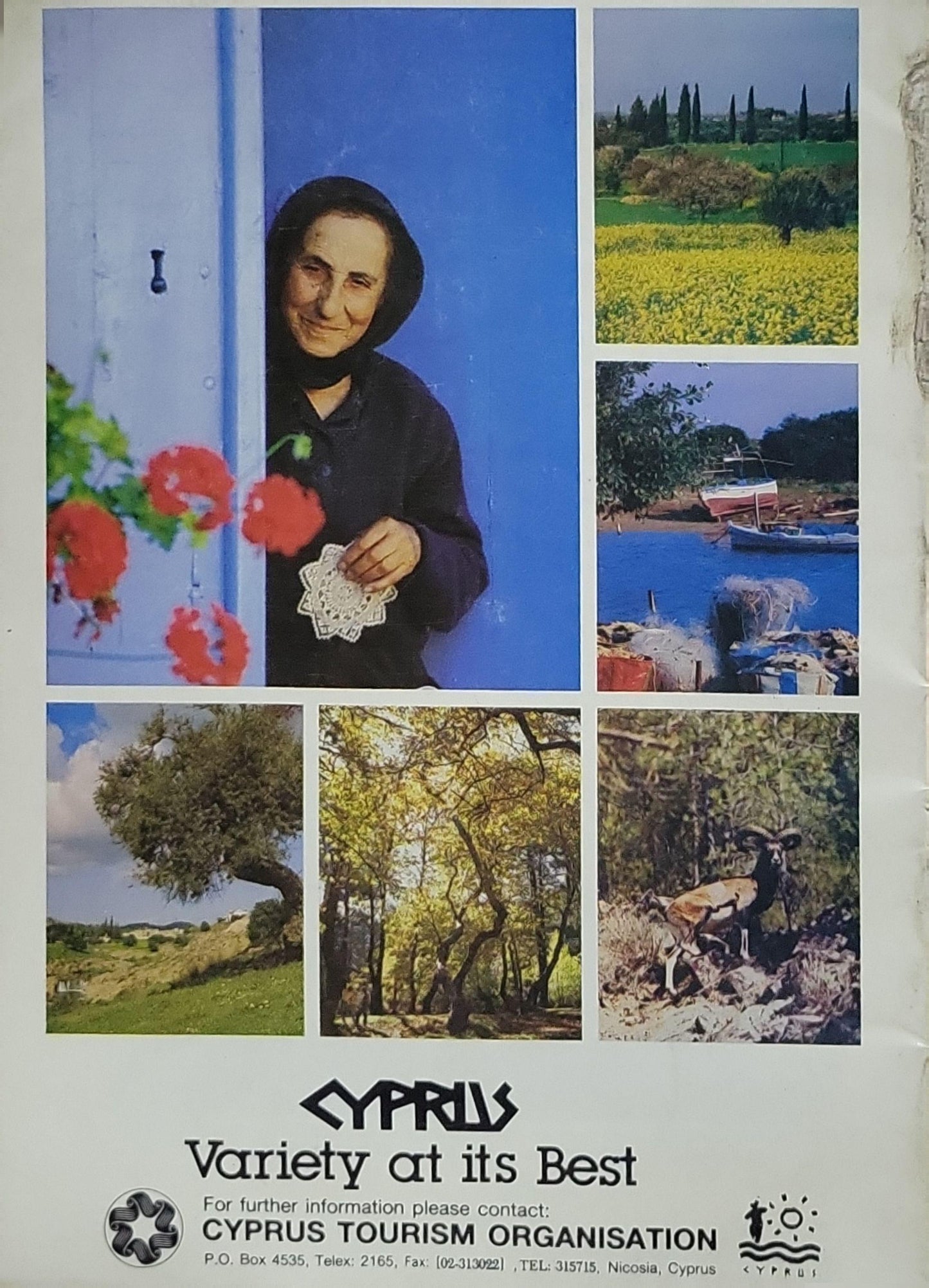 Cyprus Today: Variety at its Best