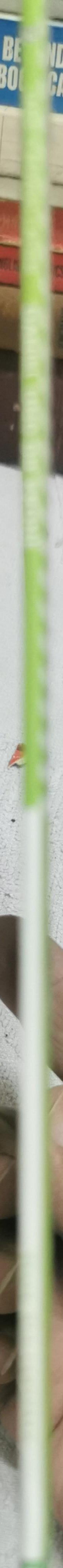 Daniel und die Krone: Die Rucksackbande will das Schlossmuseum ausrauben! Können der Polizist Daniel und seine Kollegin die Krone und den Schmuck retten? By Jane Cadwallader