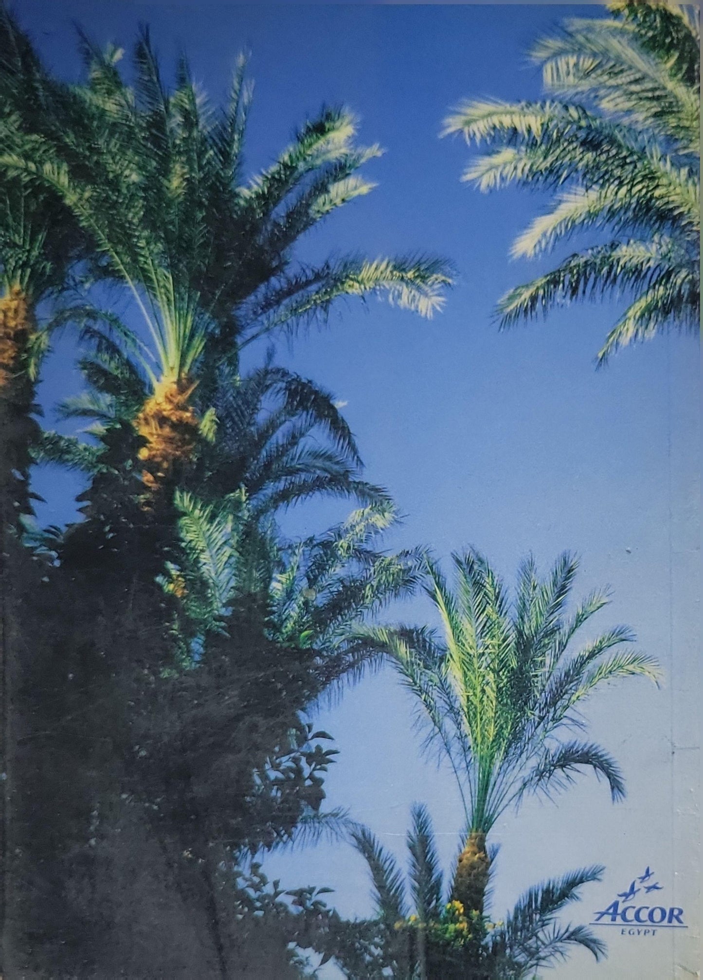 DES HOTELS DES JARDINS
