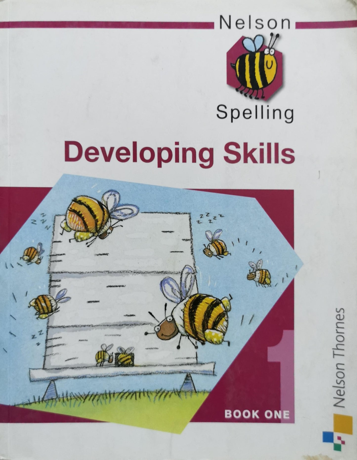 Developing Skills: Nelson Spelling By Nelson Thornes